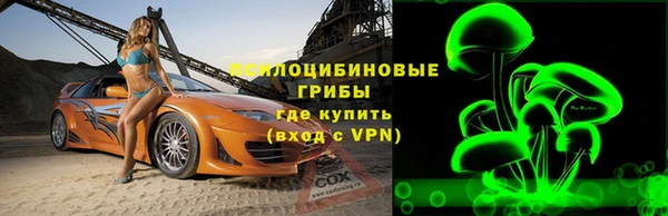 крисы Пересвет