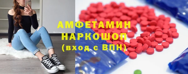 сатива Аркадак