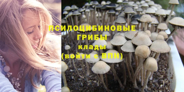 сатива Аркадак