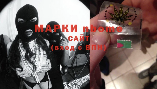 сатива Аркадак
